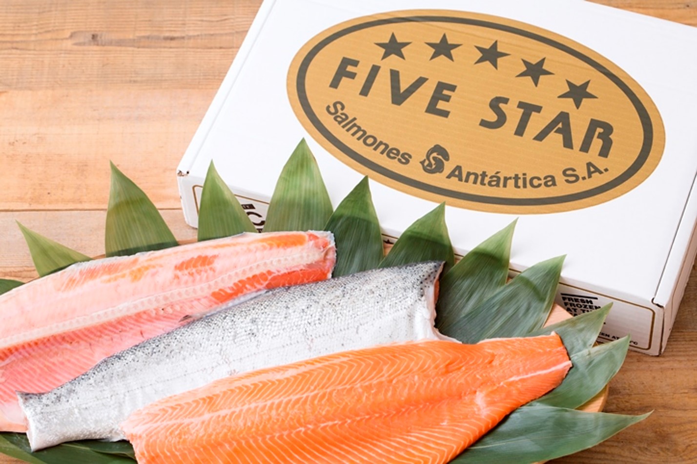 FiveStar ニッスイ