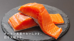 大槌鮭 ニッスイ
